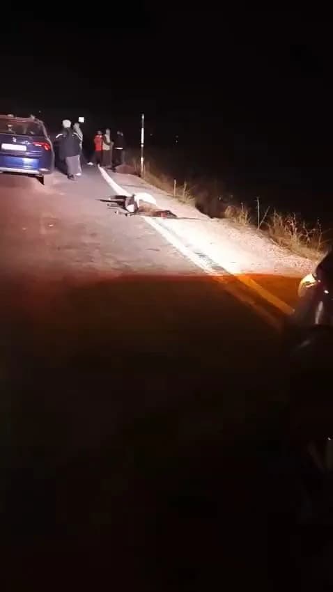Yüksekova ilçesinde yola çıkan koyun sürüsüne otomobilin çarpması sonucu telef olan koyunlar ve olay yeri
