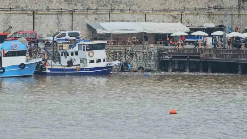 Zonguldak'ta etkili olan sağanak yağışın ardından taşkın sularının taşıdığı çamur ve atıklar liman bölgesini sarıya boya