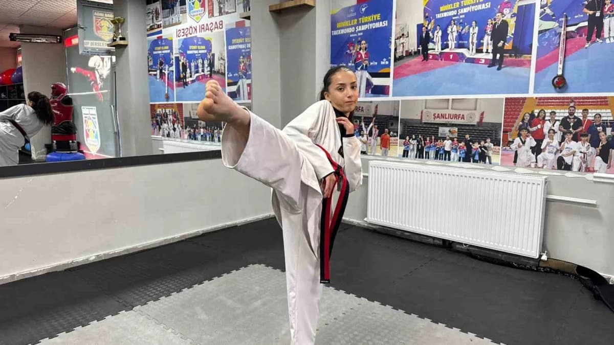 Elif Işık