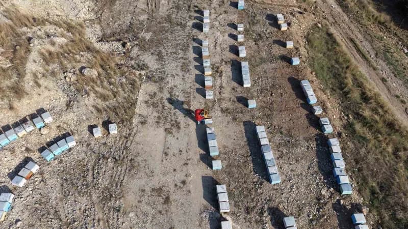 Adana’nın Kozan ilçesinde yaşayan 22 yaşındaki Bitki Koruma Bölümü mezunu Latife Gül Kaplan, babasından öğrendiği arıcıl