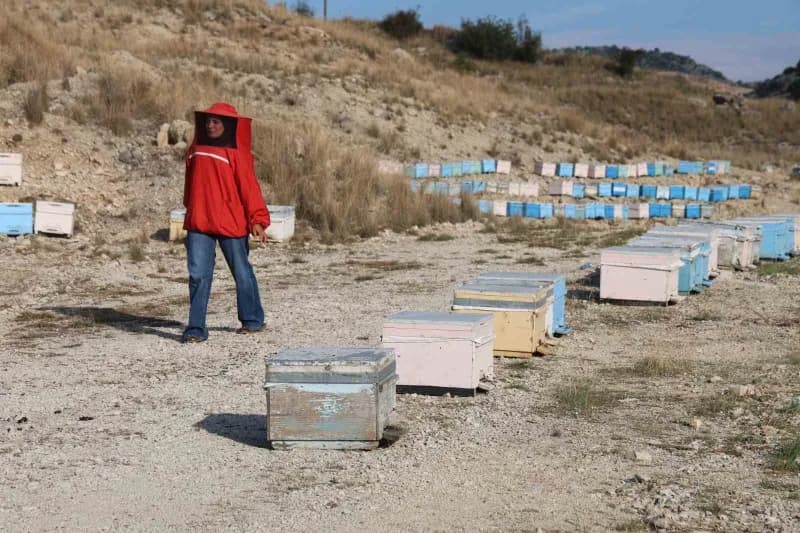 Kaplan, 250 kovanla arıcılığa başladı. Gün geçtikçe işini büyüten Kaplan, şimdi bin kovanla arıcılık yapıyor. Mevsime gö