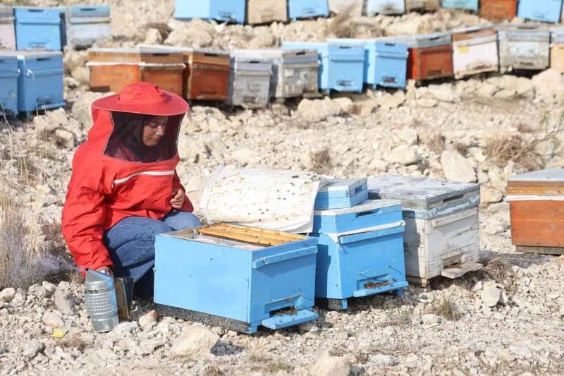 Adana’nın Kozan ilçesinde yaşayan 22 yaşındaki Bitki Koruma Bölümü mezunu Latife Gül Kaplan, babasından öğrendiği arıcıl