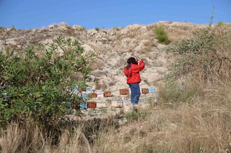 Adana’nın Kozan ilçesinde yaşayan 22 yaşındaki Bitki Koruma Bölümü mezunu Latife Gül Kaplan, babasından öğrendiği arıcıl