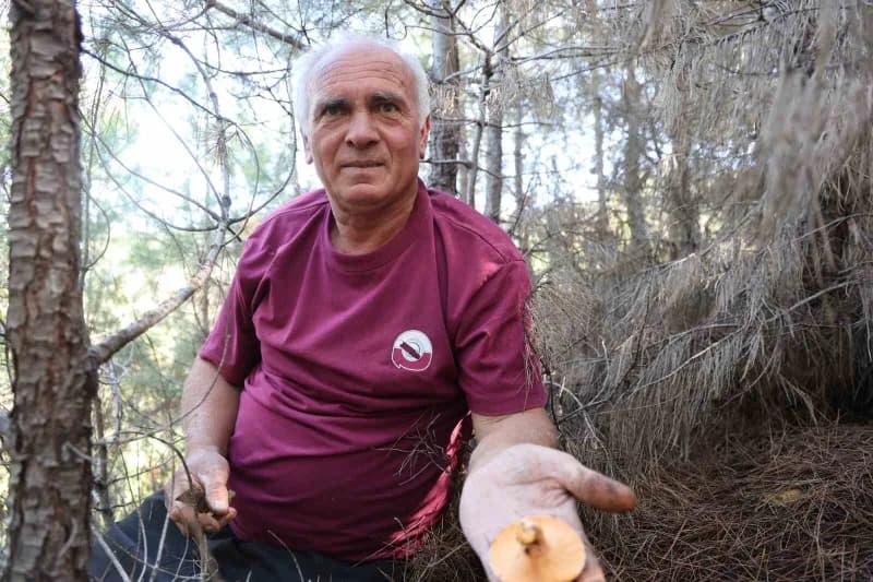 Ali Gök mantar toplamasının çok keyifli olduğunu ifade etti.