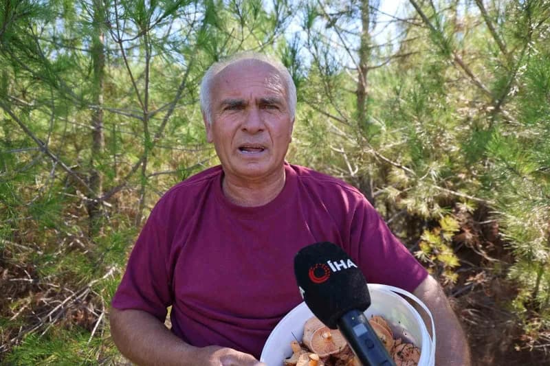 Ali Gök mantar toplamasının çok keyifli olduğunu ifade etti.