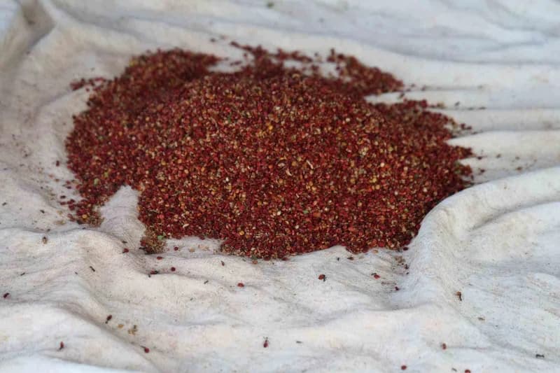Adana’nın Saimbeyli ilçesinde "Sumakçı Dede" olarak tanınan Hazım Ak’ın yaklaşık 20 yıl önce meyve vermeyen yabani erkek