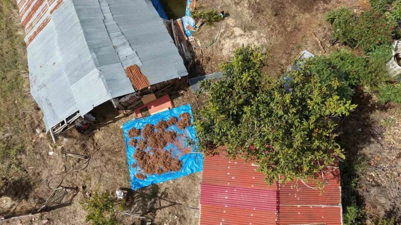 Bir dönem babasının sumak ağaçlarını aşılamasıyla başlayan çalışmada, bu yıl 23 dönümlük bahçede yetiştirilen sumakların