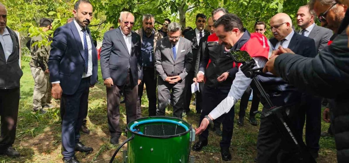 Adilcevaz’da ceviz hasadı yapan üreticiler ve Vali Ahmet Karakaya