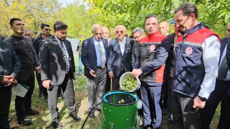 Bitlis’in Adilcevaz ilçesinde kendine özgü lezzeti ve kalitesiyle öne çıkan coğrafi işaret tescilli Adilcevaz cevizinde