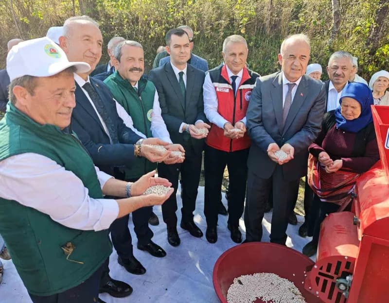 Protokol üyeleri