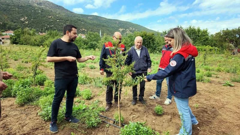 Kiraz üretimiyle Türkiye’nin önemli merkezlerinden biri olan Akşehir’de, artan işçilik ve pazarlama sorunları üreticiler