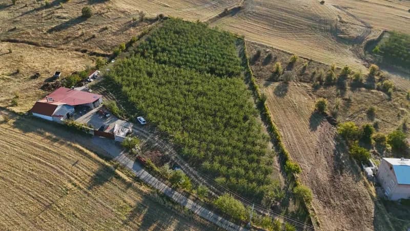 35 yıl çalıştığı Almanya’dan sağlık sorunlarının ardından memleketine dönerek meyve yetiştiriciliğin