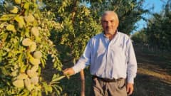Yozgat’ta badem ve hünnap ağaçları arasında çalışan Hasan Sidal