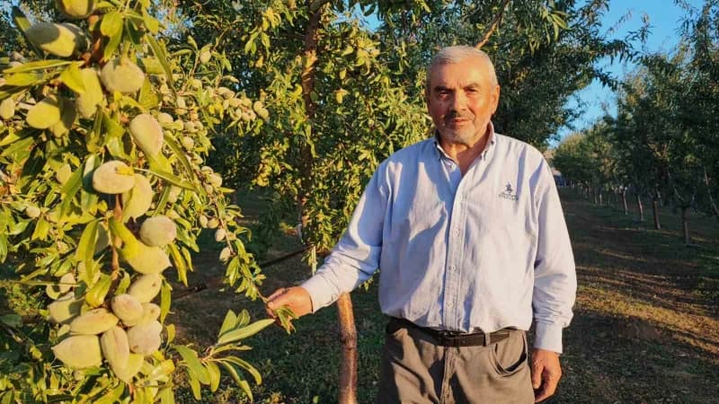 Yozgat’ta badem ve hünnap ağaçları arasında çalışan Hasan Sidal
