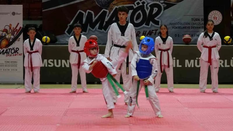 Etkinlikler yürüyüşün ardından halkoyunları, taekwondo, capoeira, cimnastik ve judo branşlarında çeşitli gösterilerle de