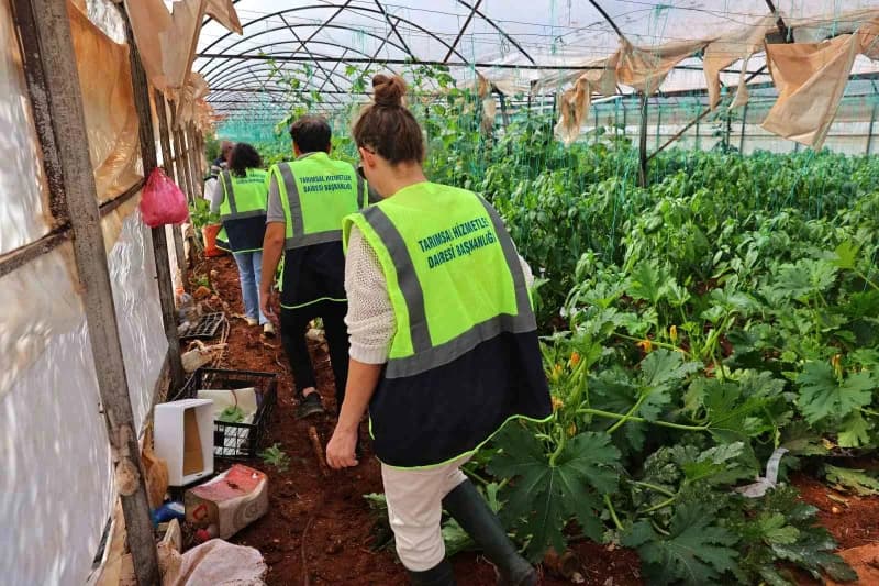Tarımsal Hizmetler Dairesi’nde ziraat mühendisi olarak görev yapan Nida Kalkan ise selden etkilenen üreticilerin tarım a