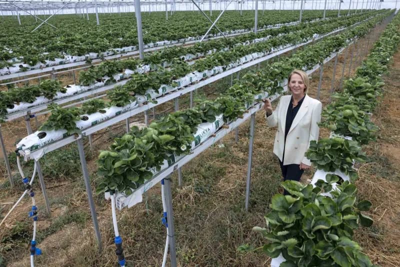 Lokman Group Yönetim Kurulu Başkanı Hatice Öz, yıllık üretimin 5 milyon fideden 15 milyon adede çıka