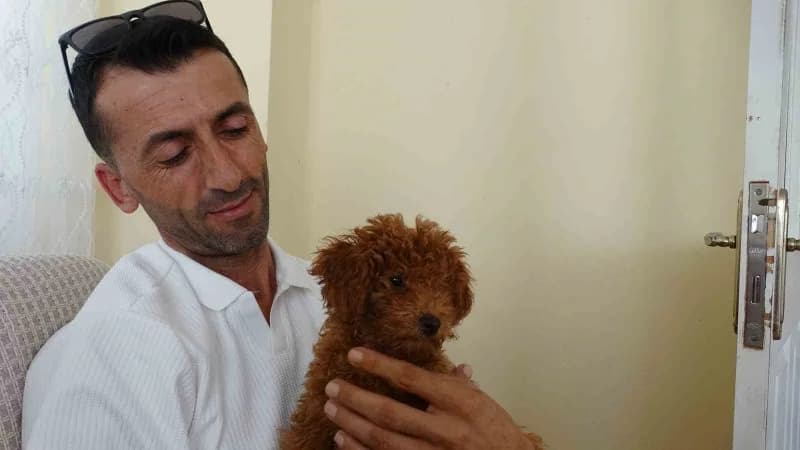 Necati Gürlevik