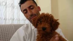 Antalya’da halk otobüsünde koltuk üzerinde unutulan Toy Poodle cinsi köpek
