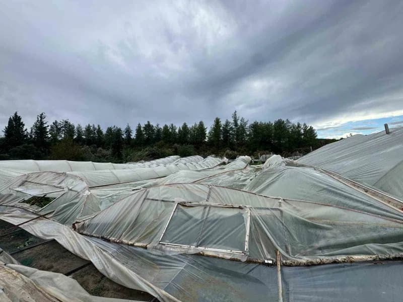 Çevreli Mahallesi'ndeki sera ve konut zararlarına ilişkin Büyükşehir Belediyesi Sosyal Hizmetler Dairesi Başkanlığı ve T