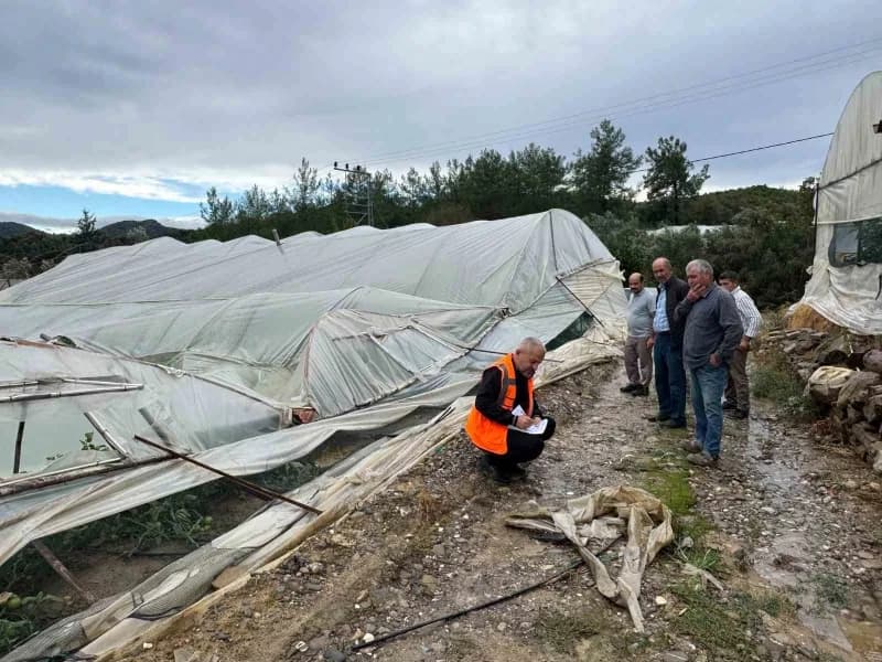 Çevreli Mahallesi'ndeki sera ve konut zararlarına ilişkin Büyükşehir Belediyesi Sosyal Hizmetler Dairesi Başkanlığı ve T