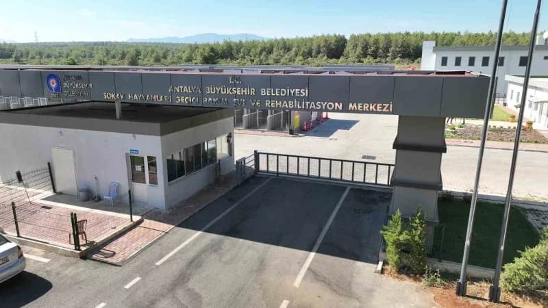 Antalya Büyükşehir Belediyesi Sokak Hayvanları Geçici Bakımevi ve Rehabilitasyon Merkezi, 84 bin metrekarelik geniş alan