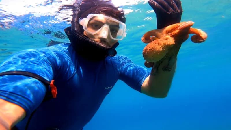 Antalya'da yaklaşık 5 yıldır serbest dalışla ilgilenen Hüseyin Fırat'ın su altında karşılaştığı ahtapotlarla kurduğu yak