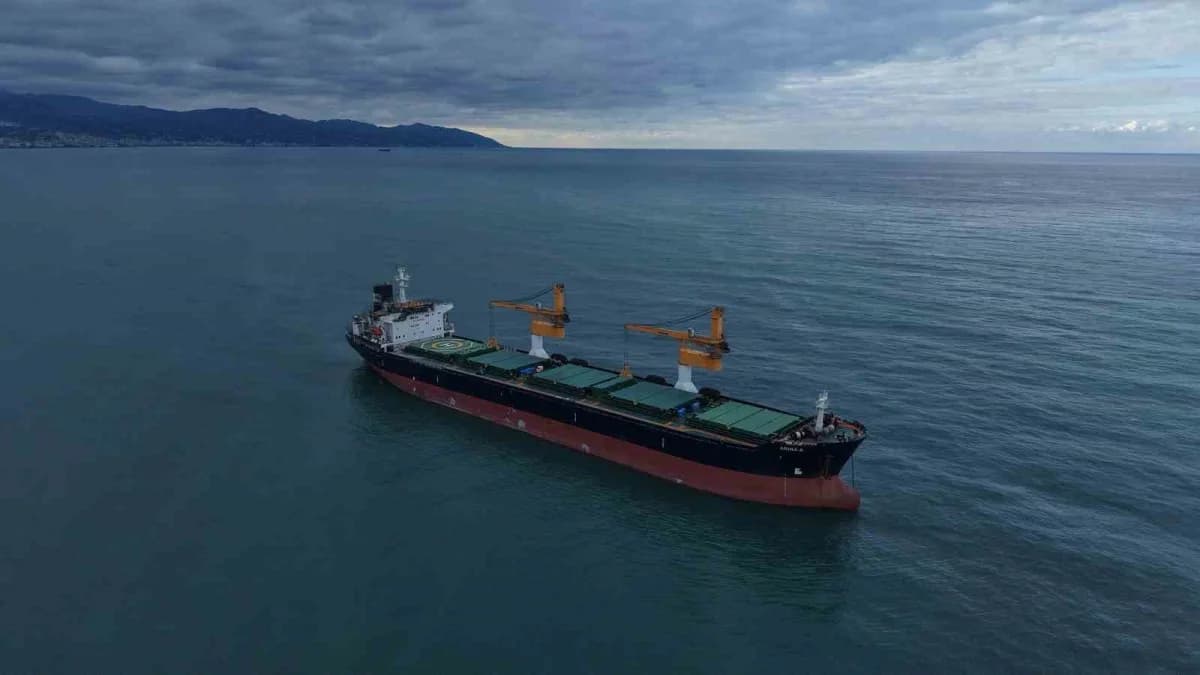 Rusya-ukrayna savaşı nedeniyle Karadeniz’de drone saldırısına uğrayan Panama bayraklı ARINA a isimli kuru yük gemisi Tra