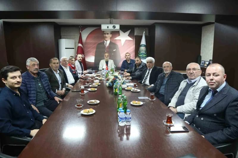 Çoruh Vadisi'nde asırlık ağaçlardan toplanan ve bölge halkının önemli geçim kaynakları arasında yer alan zeytinin, 2026