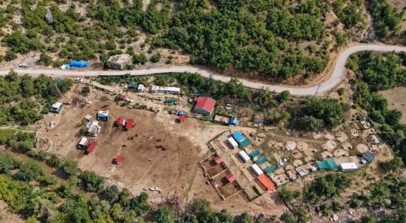 Artvin'de 2021 yılında kesime götürülürken terk edilen atların bakımını 5 yıldır gönüllüler üstleniyor