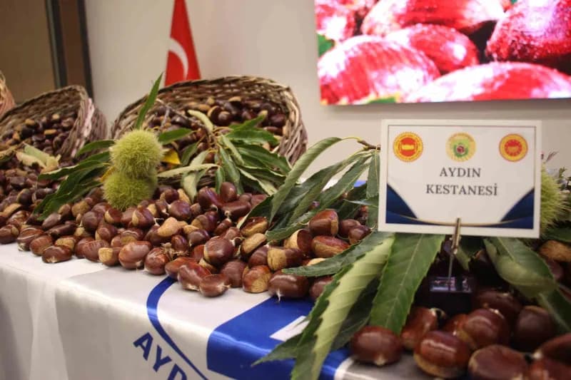 Türkiye'nin kestane üretiminde ilk sırada yer alan Aydın'da, 2026 sezonunun ilk kestaneleri düzenlen