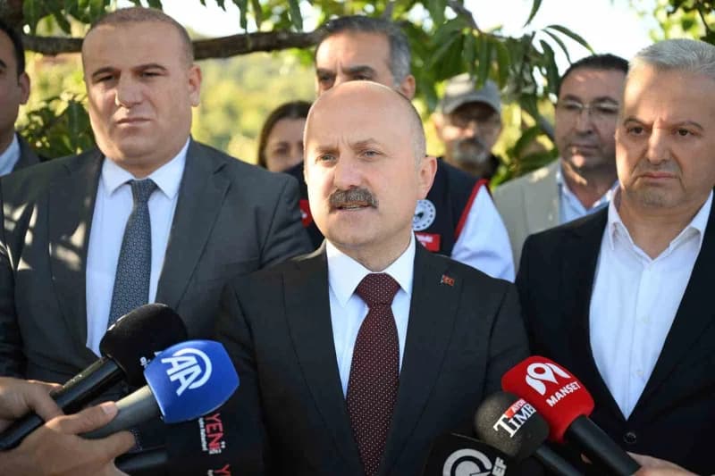 Avrupa Birliği tarafından coğrafi işaret tesciliyle korunan Aydın kestanesinde hasat heyecanı yaşanı