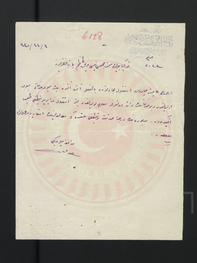 Arşivden çıkarılan iki resmî yazışma, Erzurumlu Ayşe Çavuş’un Millî Mücadele’de Ethem Müfrezesiyle birlikte muharebeye k