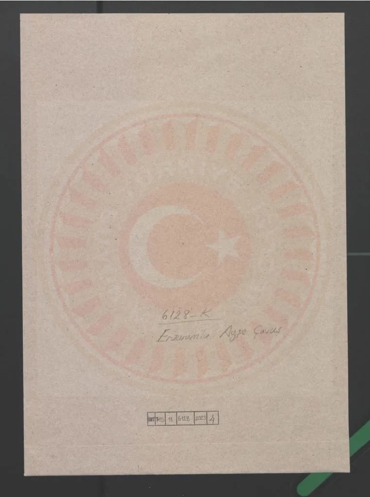 Arşivden çıkarılan iki resmî yazışma, Erzurumlu Ayşe Çavuş’un Millî Mücadele’de Ethem Müfrezesiyle birlikte muharebeye k