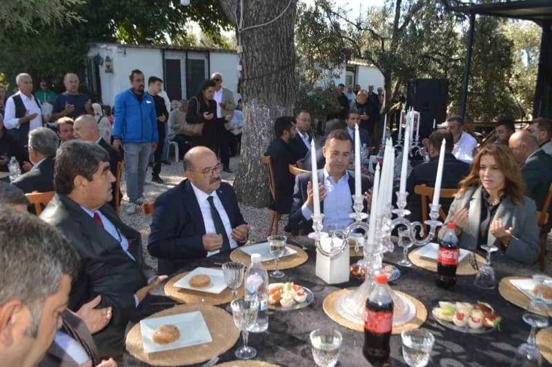Balıkesir'in Ayvalık ilçesi Altınova Mahallesi'nde ilk zeytin hasadı dualar ve hayır yemeğiyle yapıldı.