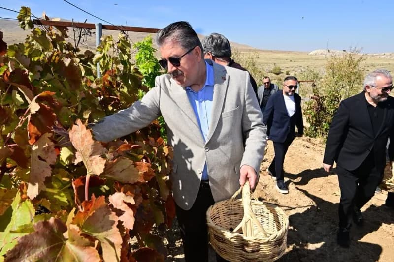 Gecek Mahallesi’nde düzenlenen geleneksel bağ bozumu programında İl protokolü ve siyasi temsilciler bir araya gelerek üz