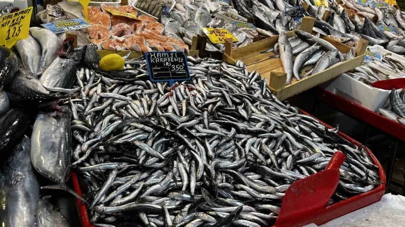 Kocaeli'de balık tezgahlarında çeşitlilik artarken palamut 125 liradan, istavrit ve sardalya kilogra
