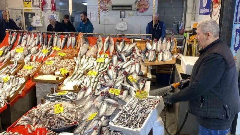 Kocaeli'de balık tezgahlarında çeşitlilik artarken palamut 125 liradan, istavrit ve sardalya kilogra