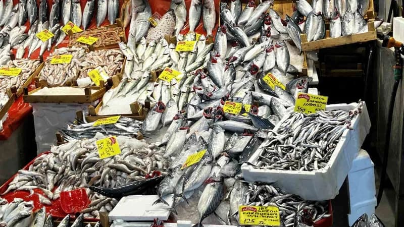 Kocaeli'de balık tezgahlarında çeşitlilik artarken palamut 125 liradan, istavrit ve sardalya kilogra