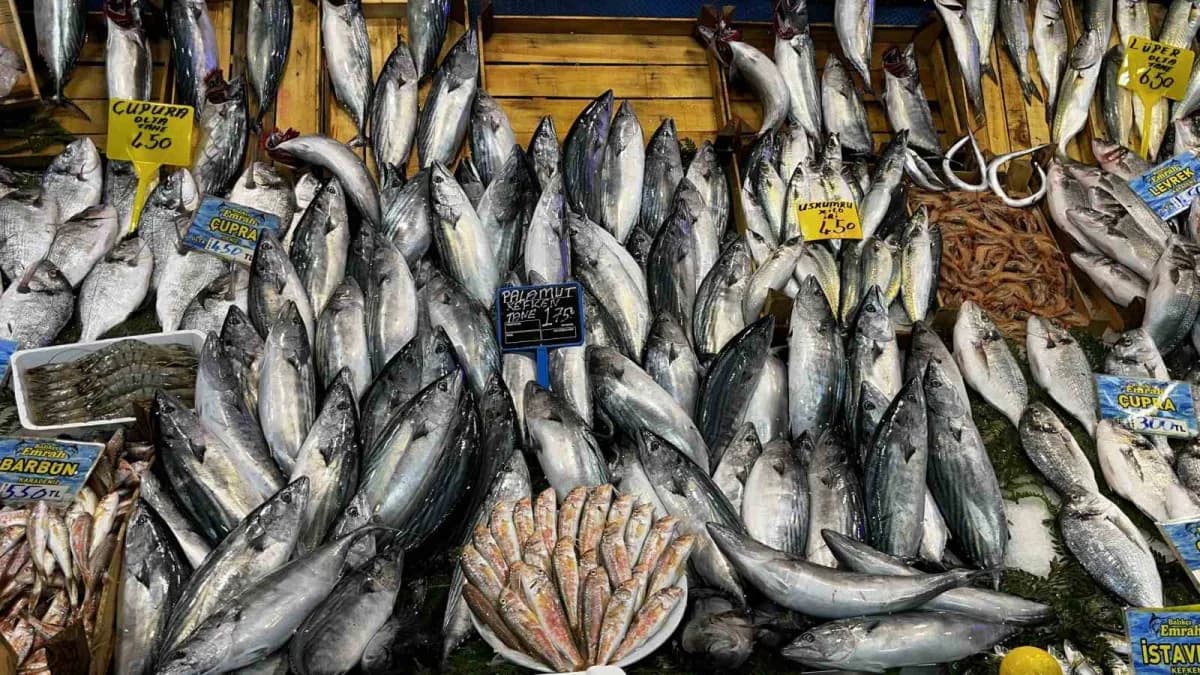 Kocaeli'de balık tezgahlarında çeşitlilik artarken palamut 125 liradan, istavrit ve sardalya kilogra