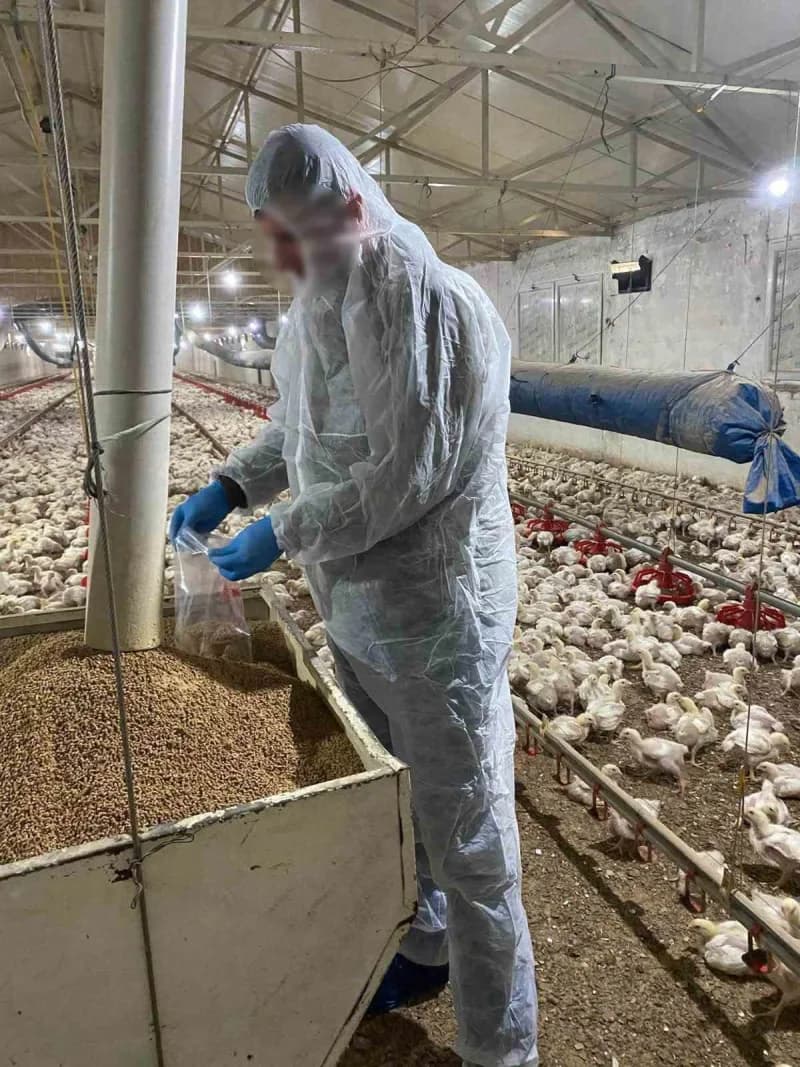 Balıkesir’de yem fabrikaları ve kanatlı işletmeleri denetlendi