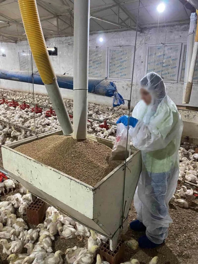 Balıkesir’de yem fabrikaları ve kanatlı işletmeleri denetlendi