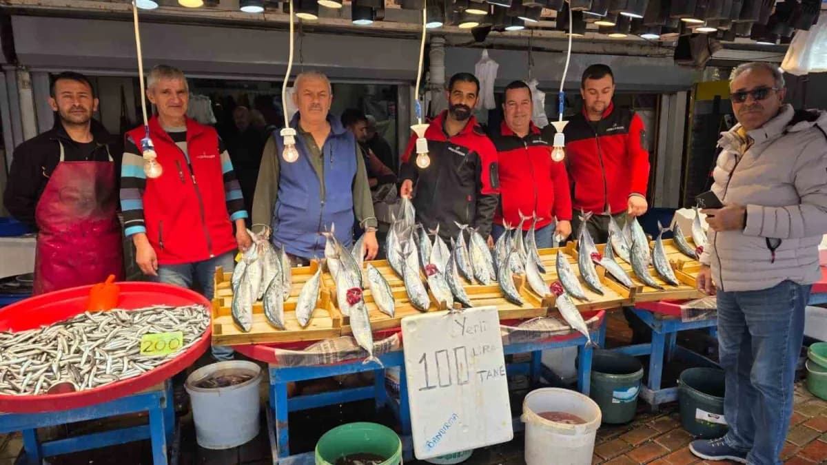 Bandırma’da palamut bereketi, vatandaş kasa kasa balık alıyor