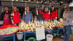 Bandırma’da palamut bereketi, vatandaş kasa kasa balık alıyor