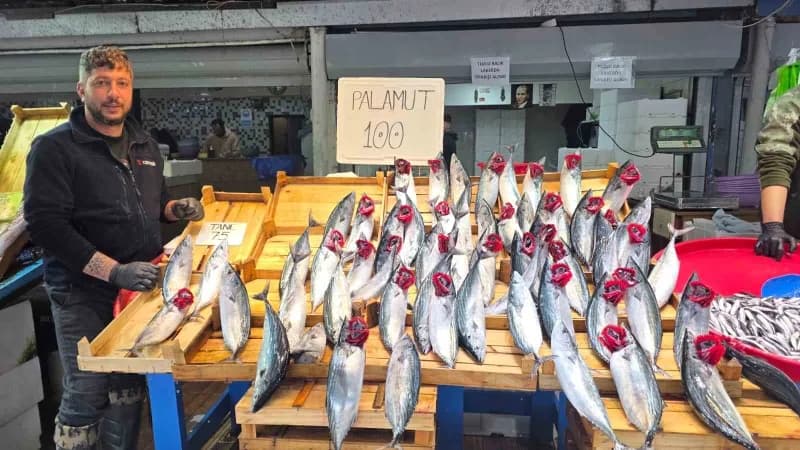 Bandırma Balık Hali’nde çalışan balıkçı esnafı Sezgin Acar da bu yıl denizlerde yaşanan palamut bolluğunun hem esnafı he