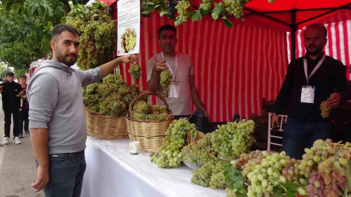 Bağ Bozumu ve Gastronomi Festivali, bu yıl da renkli görüntülere ve yoğun katılıma sahne oldu.