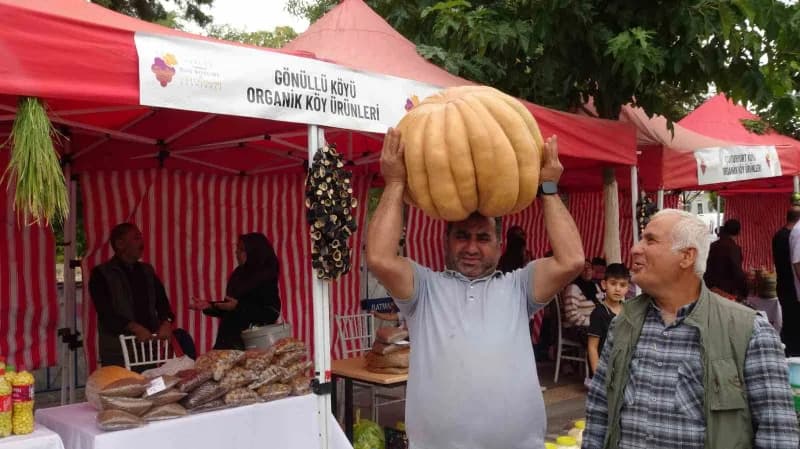 Bağ Bozumu ve Gastronomi Festivali, bu yıl da renkli görüntülere ve yoğun katılıma sahne oldu.