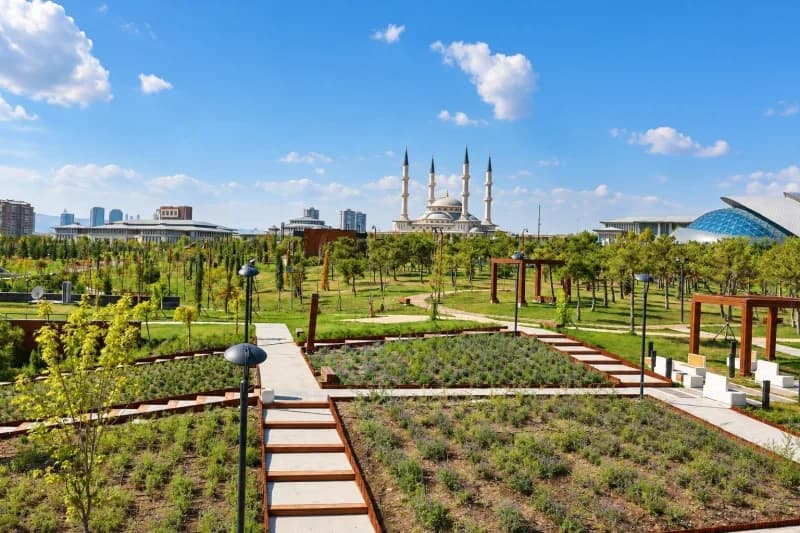 Beştepe Millet Ormanı’nda yürüyüş yolu, tematik bahçeler ve doğal peyzaj alanları
