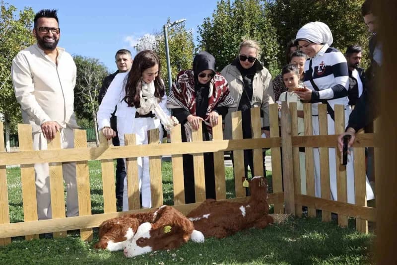 Beykoz Belediyesi tarafından 4 Ekim Dünya Hayvanları Koruma Günü kapsamında "Her Cana Değer" sloganıyla Beykoz Yaşam Fes