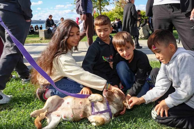 Beykoz Yaşam Festivali’nde çocuklar ve aileler hayvan sevgisi temalı etkinliklerde bir arada